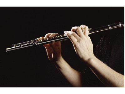 招聘安康长笛家教老师