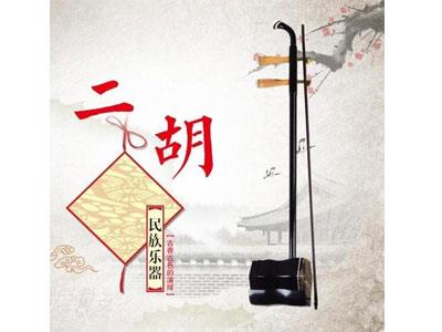 招聘安康二胡家教老师